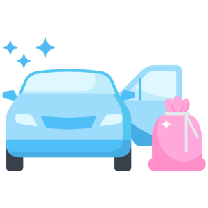 laundry delivery service